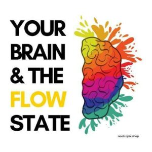 Your Brain and The Flow State Nootropix UAE Blog
